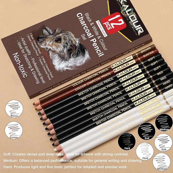 KALOUR Pro Colored Charcoal Drawing Set,12 Pieces Pastel Chalk Pencils for Sketching, Shading, Blending, Portrait, Black White Charcoal for Beginners & Artists