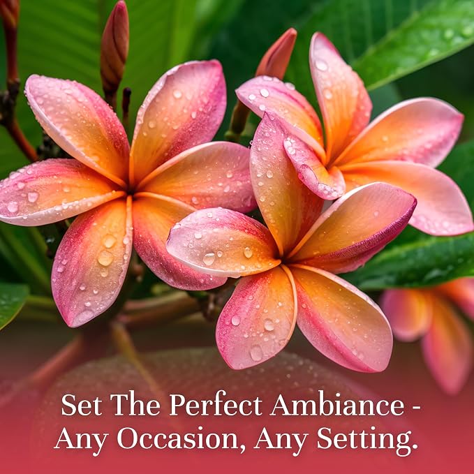 P&J Trading Fragrance Oil | Plumeria Oil 30ml - Candle Scents for Candle Making, Freshie Scents, Soap Making Supplies, Diffuser Oil Scents