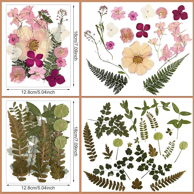 Nuanchu Real Natural Dried Pressed Flowers Greenery for Craft Resin Mold