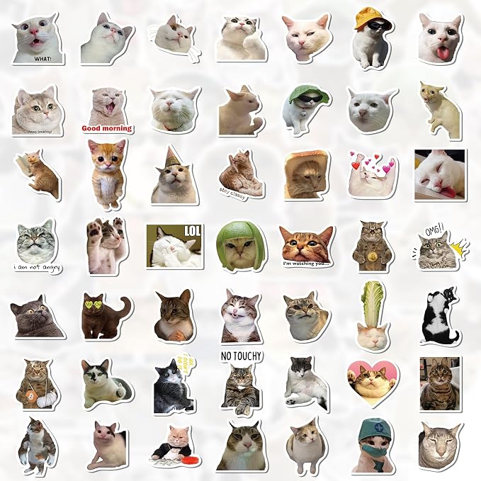 100 Pcs Cat Stickers for Water Bottles Laptop Guitar Suitcase
