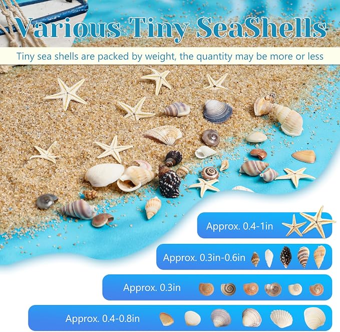 1200 Pieces Tiny Sea Shells Small Natural Starfish Mixed Ocean Beach Spiral Seashells for Home Decorations,Wedding Decor,Candle Making,Beach Theme Party,DIY Crafts and Vase Filler