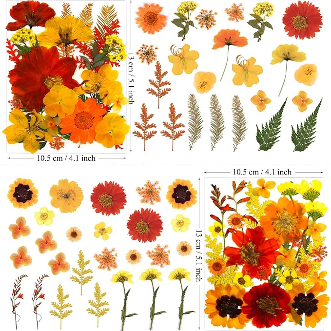 MIKIYA 90Pcs Fall Pressed Dried Flowers for Resin, Real Assorted Autumn Natural Bulk Orange Dry Floral Leaves for DIY Art Crafts, Epoxy Molds, Jewelry, Soap, Candle Making