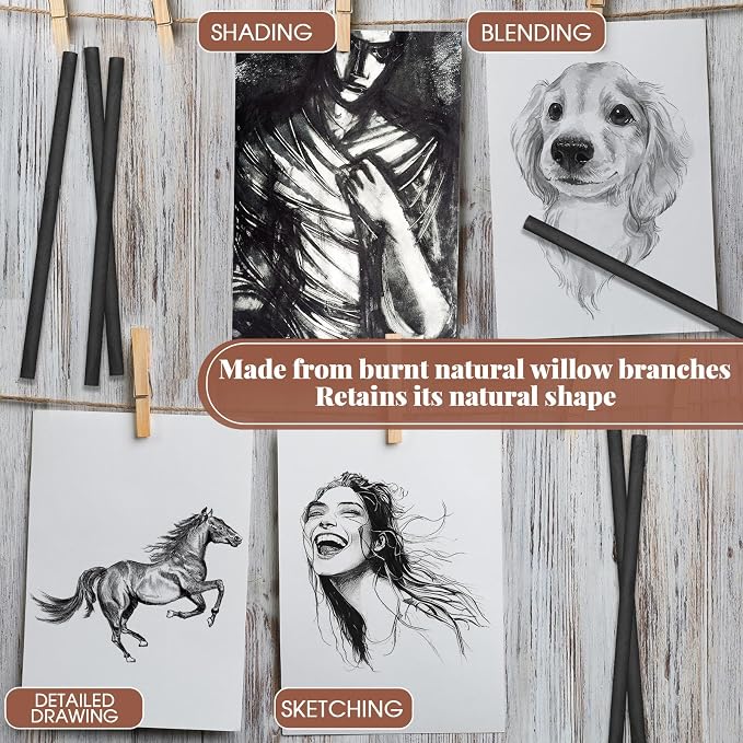 Gueevin 200 Pcs Soft Willow Charcoal Sticks Drawing,5-7mm | For Artists Beginners Students, Vine Charcoal Bulk for Sketching Shading Fine Art, Assorted Sizes, Back to School Gifts
