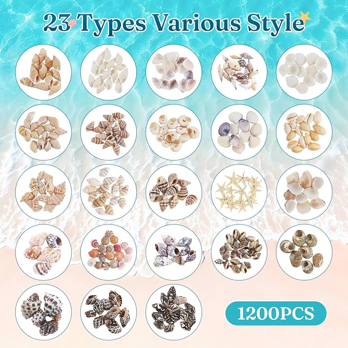 Zefy 23 Types Small Sea Shells for Crafts, 1200 Pcs Tiny Seashells | Shells with Mixed Size Starfish, Mini Shells for Vase Filler Beach Theme Party Home Decor