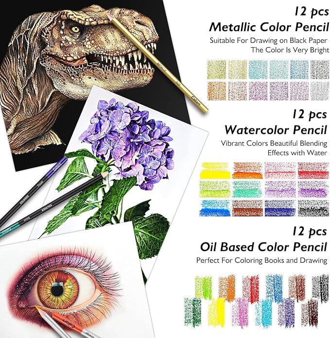 Caliart 176PCS Art Supplies Sketching Kit, 100 Sheets 3-Color Sketch Book | Graphite Colored Charcoal Watercolor & Metallic Pencils, Drawing Supplies Set Gifts for Artists Adults Teens Girls Boys Kids