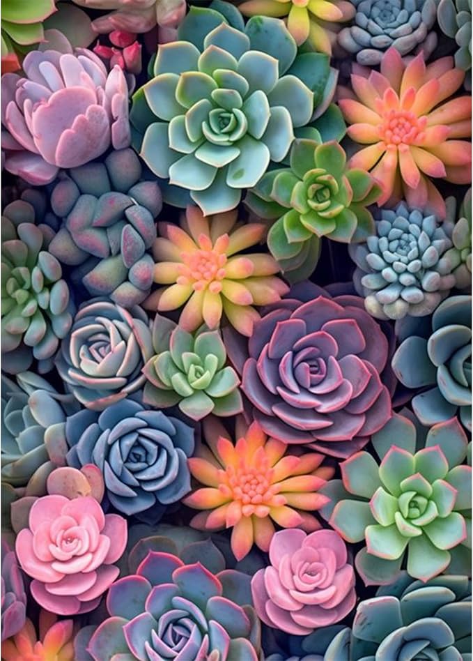 Ycydilirab Succulent Paint by Numbers Kits for Adults Beginners-Succulent Plant Paint by Number for Adult,Easy Canvas Paint by Numbers for Adults for Home Wall Decoration and Gifts 16X20 inch
