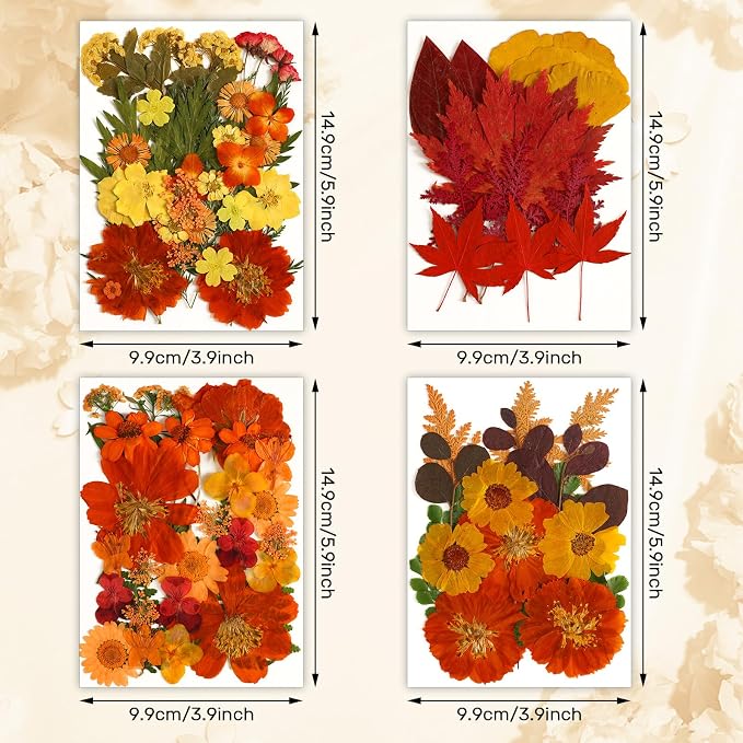 Augshy Fall Dried Pressed Flowers and Leaves for Autumn Crafts Resin DIY