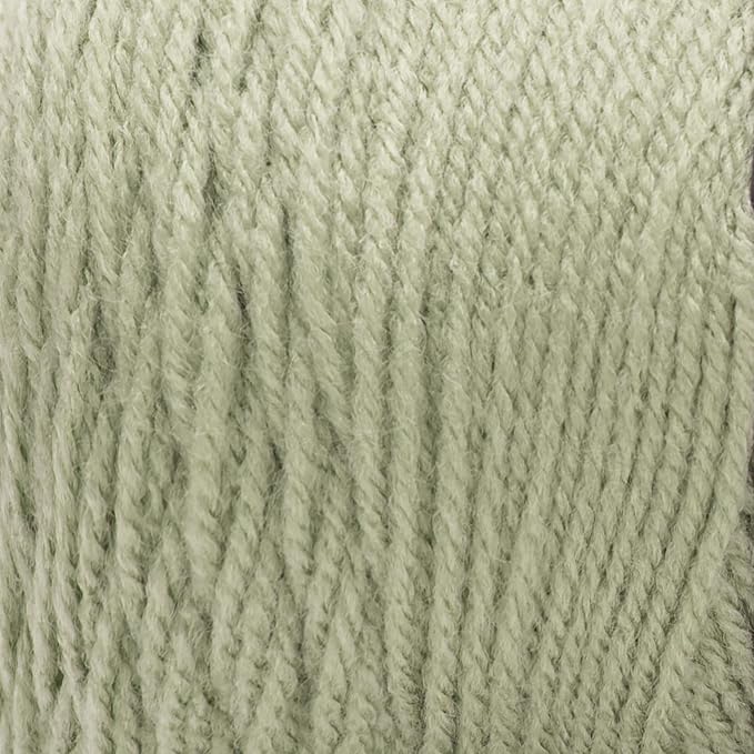 RED HEART Super Saver Yarn, Frosty Green
