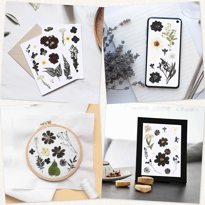 Augshy Black Dried Pressed Flowers, 120 Pcs Halloween Dried Flowers for Resin Molds Real Pressed Flowers for Crafts DIY Jewelry Molds, Scrapbooking, Candle, Soap Making