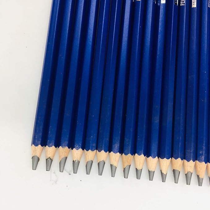 XDT#12B Drawing Pencils 24 Piece Set, Pro Art Graphite Sketching&Shading Supplies, Ideal For Kid Beginner Student Adults Artist