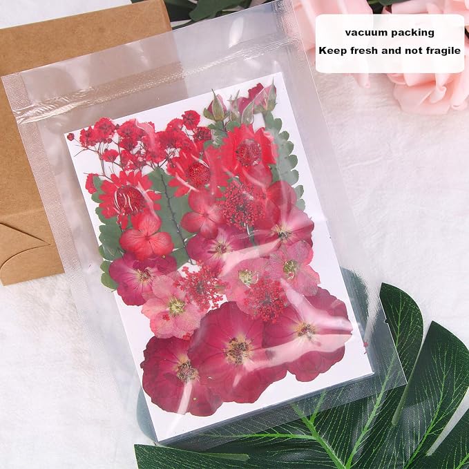 Augshy Red Dried Pressed Flowers, Pressed Red Roses Dried Flowers for Resin Molds Jewelry Nail Art Craft DIY
