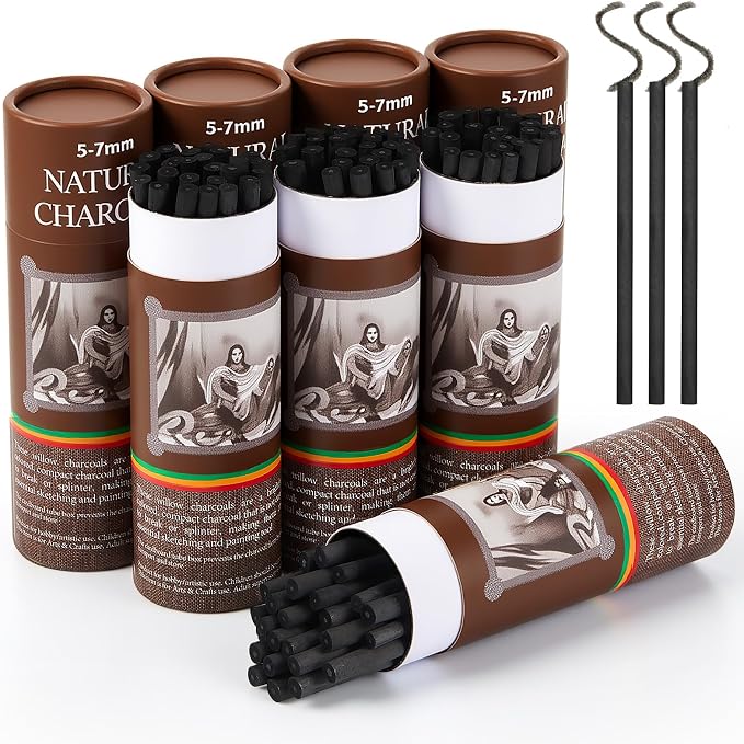 Gueevin 200 Pcs Soft Willow Charcoal Sticks Drawing,5-7mm | For Artists Beginners Students, Vine Charcoal Bulk for Sketching Shading Fine Art, Assorted Sizes, Back to School Gifts