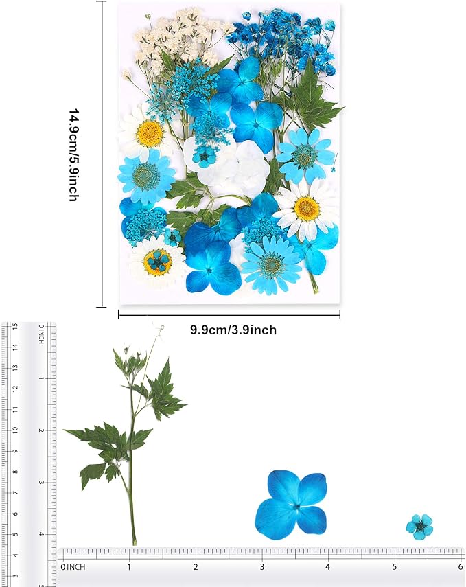 Augshy Blue Dried Pressed Flowers - Natural Real Colorful Dry Flowers for Resin Jewelry Nail Art Craft DIY