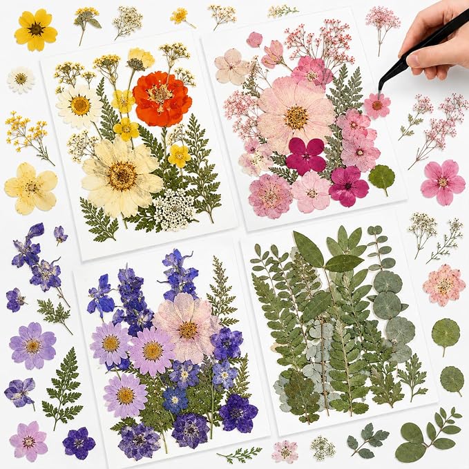 Nuanchu Real Natural Dried Pressed Flowers Greenery for Craft Resin Mold