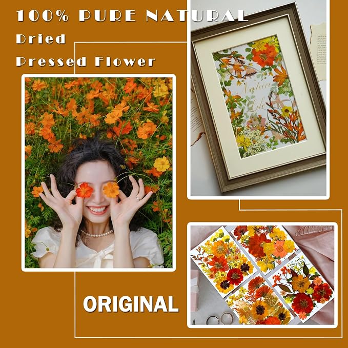 MIKIYA 90Pcs Fall Pressed Dried Flowers for Resin, Real Assorted Autumn Natural Bulk Orange Dry Floral Leaves for DIY Art Crafts, Epoxy Molds, Jewelry, Soap, Candle Making