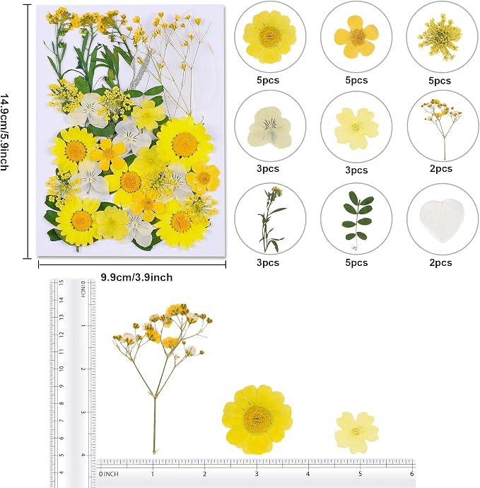 Augshy Dried Pressed Flowers - Real Natural Colorful Dry Flowers for Resin Jewelry Nail Art Craft DIY (Yellow)