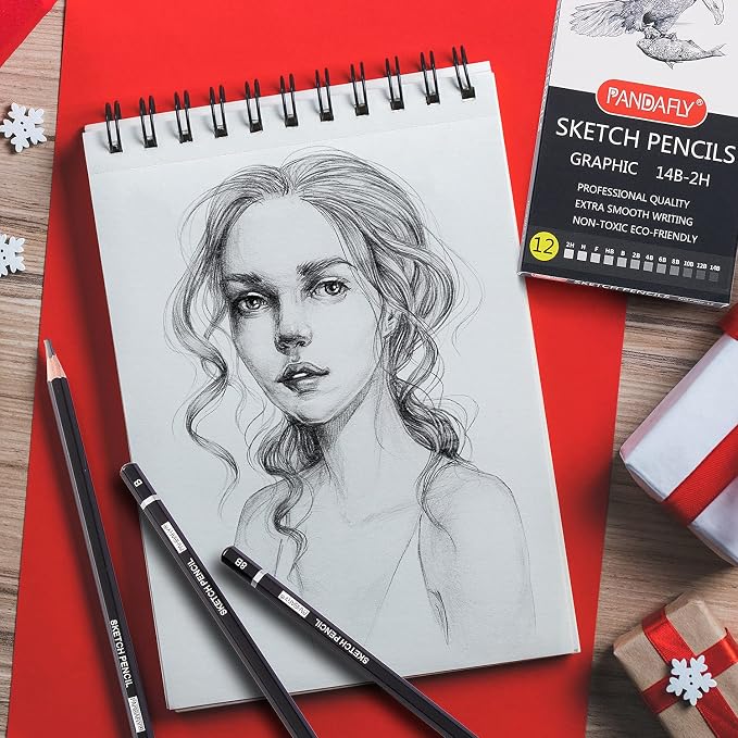 PANDAFLY Drawing Sketching Pencil Set, 12 Pack, Graphite Pencils (14B - 2H) | Ideal for Drawing Art, Sketching, Shading, Artist Pencils for Beginners & Pro Artists