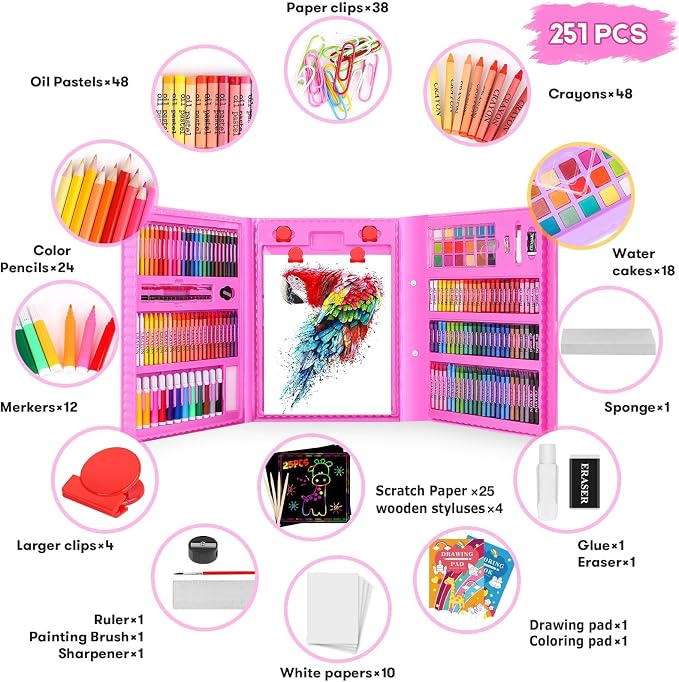 iBayam 251-Pack Pink Art Supplies, Drawing Arts Kits for Kids Teens Adult