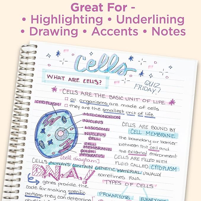 Zebra Pen MILDLINER No Bleed Highlighter, Gentle Colors, Dual Tip, 5-Pack