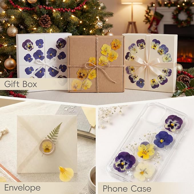 LUXEEASE 8 Color 64P Pansy Dried Pressed Flowers