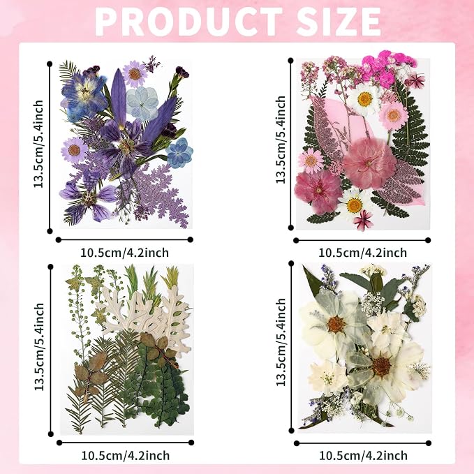 Augshy Dried Pressed Flowers Dry Leaves, 80 Pcs Real Pressed Flowers Leaves for Resin Molds Assorted Pink Blue White Flower for Crafts DIY Jewelry Molds, Scrapbooking, Candle