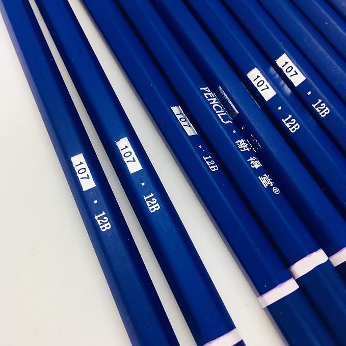 XDT#12B Drawing Pencils 24 Piece Set, Pro Art Graphite Sketching&Shading Supplies, Ideal For Kid Beginner Student Adults Artist