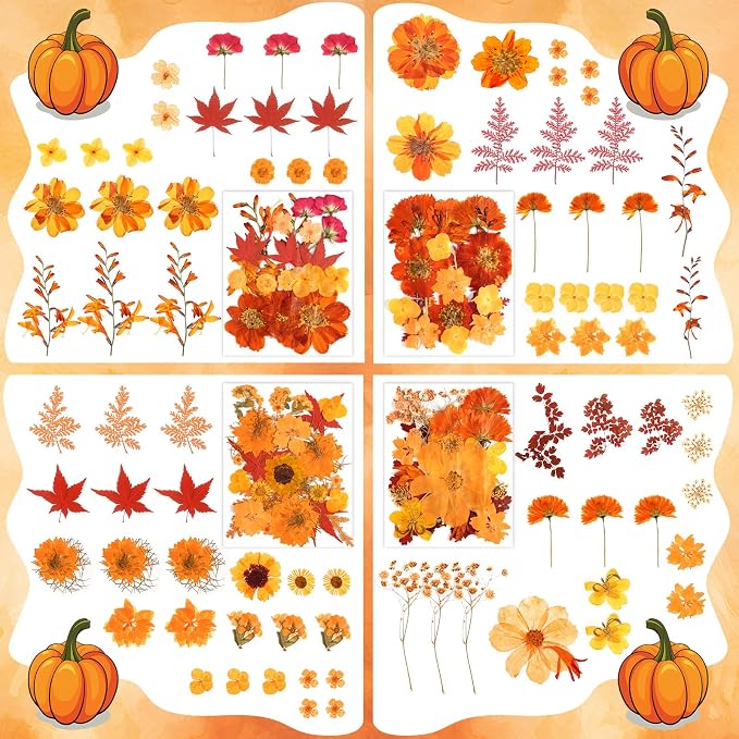 170 PCS Fall Dried Pressed Flowers with Tweezers, Real Nature Dried Flowers Orange Autumn Pressed Florals Set for Resin Scrapbooking Vase Candle Making Card Scrapbook Craft Floral Decors
