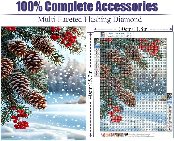 GQYCZZ Christmas Holly Fruit Diamond Art Kits for Adults/Beginners 12x16in
