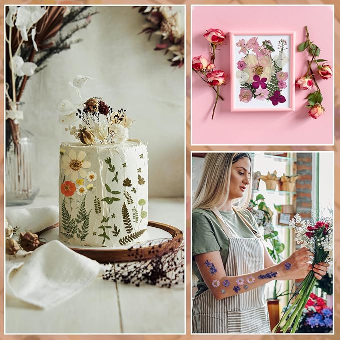Nuanchu Real Natural Dried Pressed Flowers Greenery for Craft Resin Mold