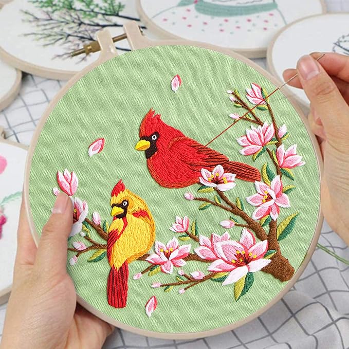 Nuberlic 3 Pack Embroidery Kit for Beginners with Cardinal & Blue Bird