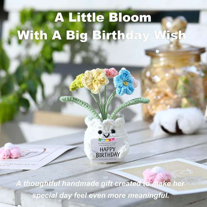 Crochet Forget Me Not Flower Pot Birthday Gifts for Women | Happy Birthday Message Card, Colorful Handmade Keepsake, Gift for Her, Mom, Best Friend, Sister, Coworker, PET Display Box