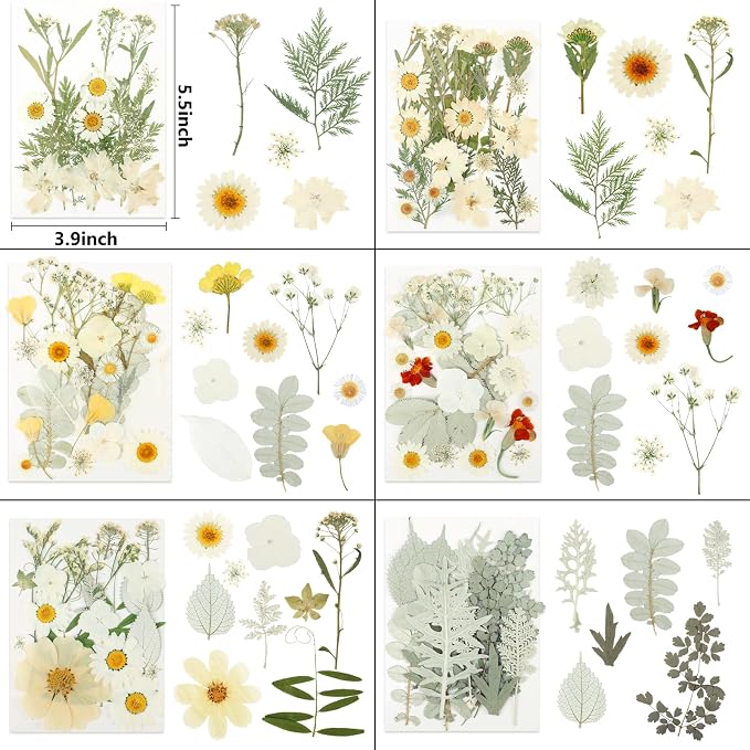 NESCCI 247 Pcs Dried Flowers for Crafts,Real Natural Dried Pressed Flowers in Soft Yellow & White Tones for Resin,Used for Scrapbooking DIY Art Crafts Candle Soap Making Nails Décor