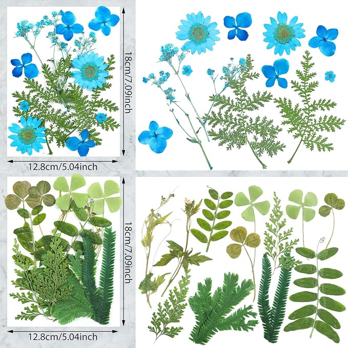 Nuanchu Natural Dried Pressed Flowers Bulk for Craft Resin DIY