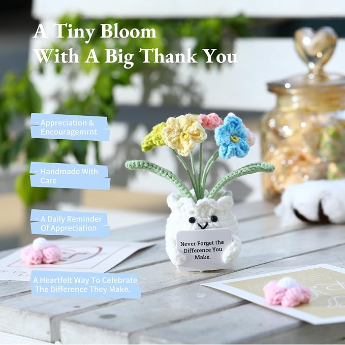 Forget-Me-Not Crochet Flower Potted Plant Gift | Difference You Make Gift, PET Display Box, Teacher Appreciation, Coworker, Employee, Thank You Gift, Handmade Desk Decor