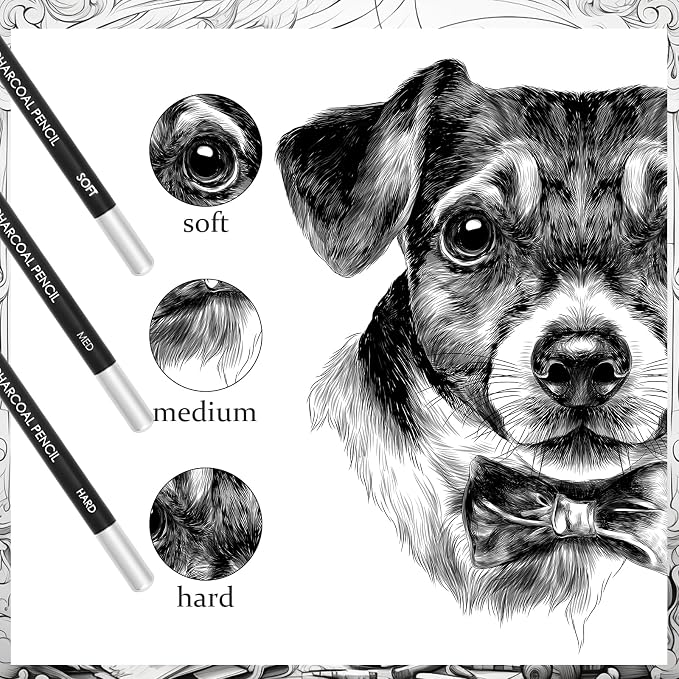 Geyoga 36 Pcs Professional Charcoal Pencils Bulk Classroom Set Soft, Medium and Hard for Drawing Charcoal Pencils for Sketching Shading Drawing Blending Portrait(Black,Assorted)