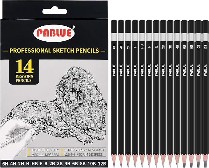 14Pcs Professional Graphite Sketch Pencils for Drawing (6H-12B) | Professional Triangular Graphite Pencils Set (6H,4H,2H,H,HB,F,B,2B,3B,4B,6B,8B,10B,12B) for All Drawing and Shading Needs