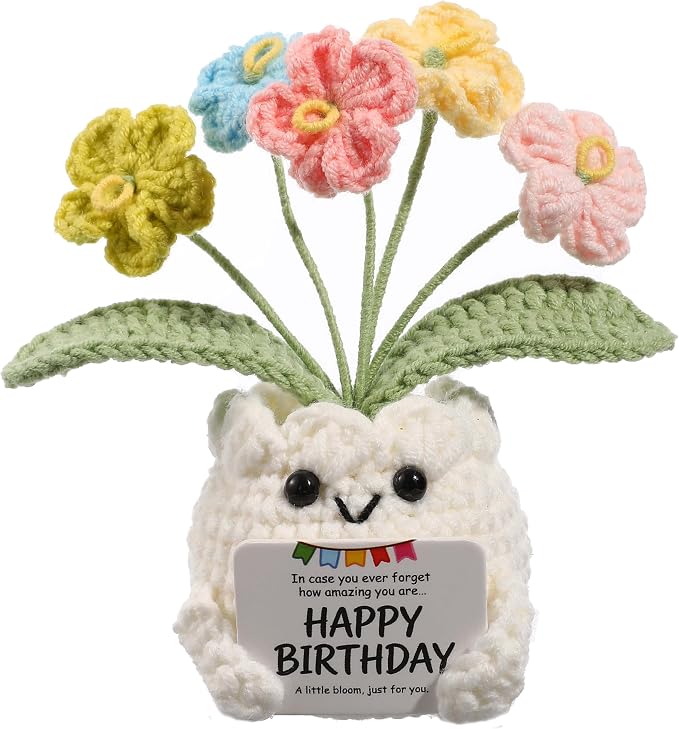 Crochet Forget Me Not Flower Pot Birthday Gifts for Women | Happy Birthday Message Card, Colorful Handmade Keepsake, Gift for Her, Mom, Best Friend, Sister, Coworker, PET Display Box