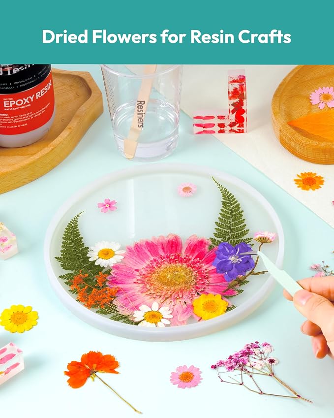 Dried Pressed Flowers, Resiners Dried Flowers for Candle Making Real Natural Pressed Flowers Dry Leaves Kit for DIY Crafts Resin Soap Scrapbook Card Making Jewelry (Gerbera Daisy 100pcs)