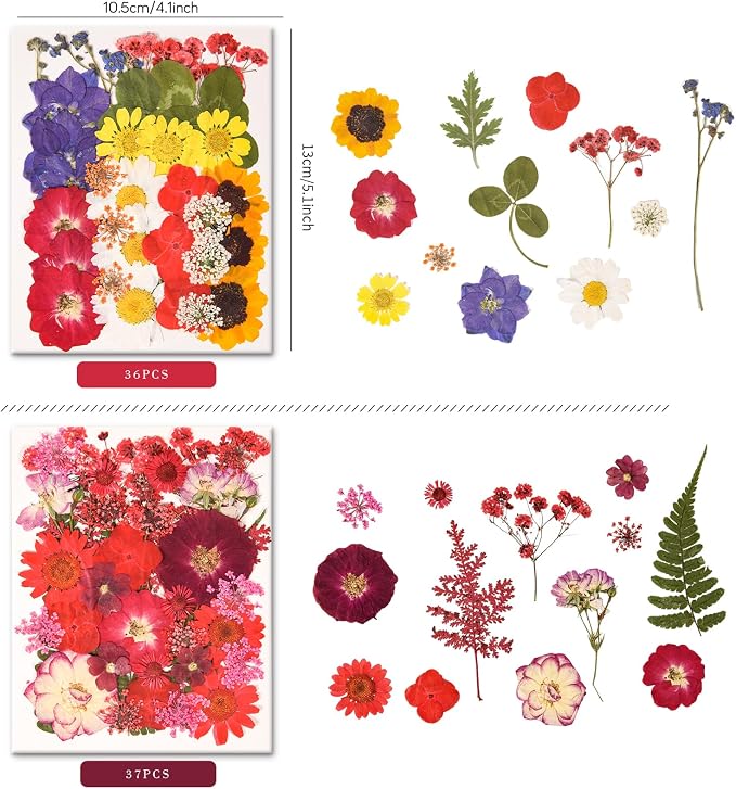 330PCS Natural Color Pressed Dried Flowers for DIY Crafts Corlor-9