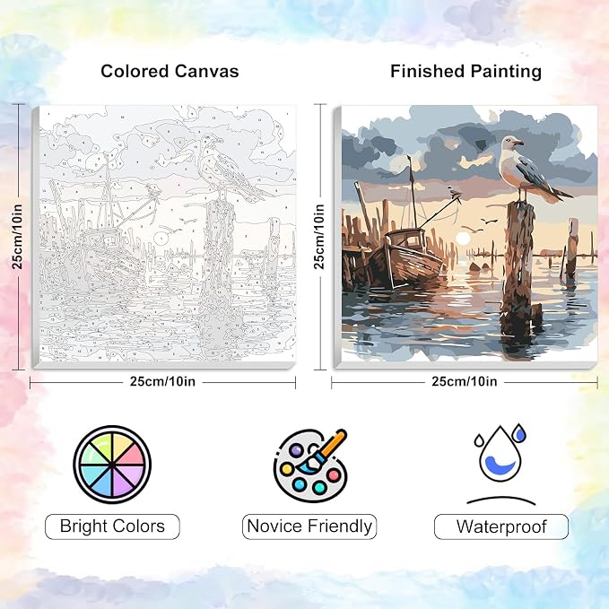 Seagull Framed Paint by Numbers Kit for Adults Beginner & Kids Ages 8-12 | With Frame Canvas 10x10 inch, DIY Acrylic Painting by Numbers Sunset, Stress Relief Craft Kits, Home Wall Decor Gift
