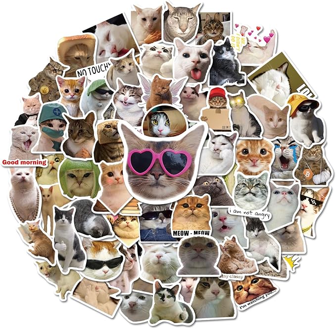 100 Pcs Cat Stickers for Water Bottles Laptop Guitar Suitcase