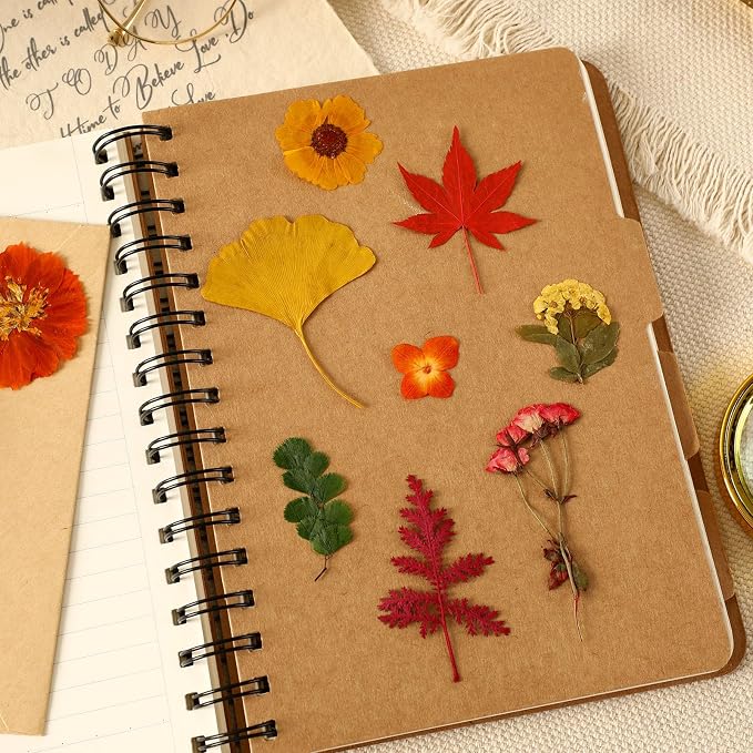 Augshy Fall Dried Pressed Flowers and Leaves for Autumn Crafts Resin DIY