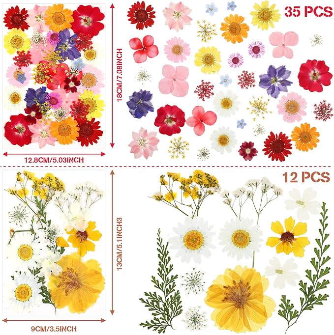 Nuanchu Dried Pressed Flowers for Resin,Classic Style,Bright Colors