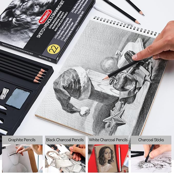 PANDAFLY Drawing Sketching Pencil Set, 22 Piece, Graphite Pencils (12B-2H) | Pro Art Pencil Kit with Black and White Charcoal Pencils, Charcoal Sticks, Stumps, Eraser, Sharpeners, Sketch Set for Artists