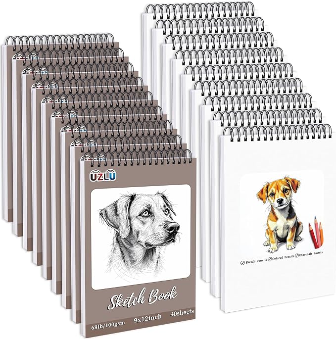 UZLU 18 Pcs Sketch Book Bulk 9 x 12 in 720 Sheets Top Spiral Bound Sketch Pad Drawing Paper 40 Sheets Each Acid Free Mixed Media Sketchbook 68lb/100gsm Art Supplies for Beginner Artist