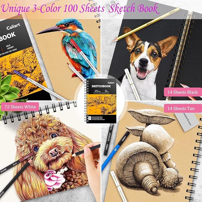 Caliart 176PCS Art Supplies Sketching Kit, 100 Sheets 3-Color Sketch Book | Graphite Colored Charcoal Watercolor & Metallic Pencils, Drawing Supplies Set Gifts for Artists Adults Teens Girls Boys Kids