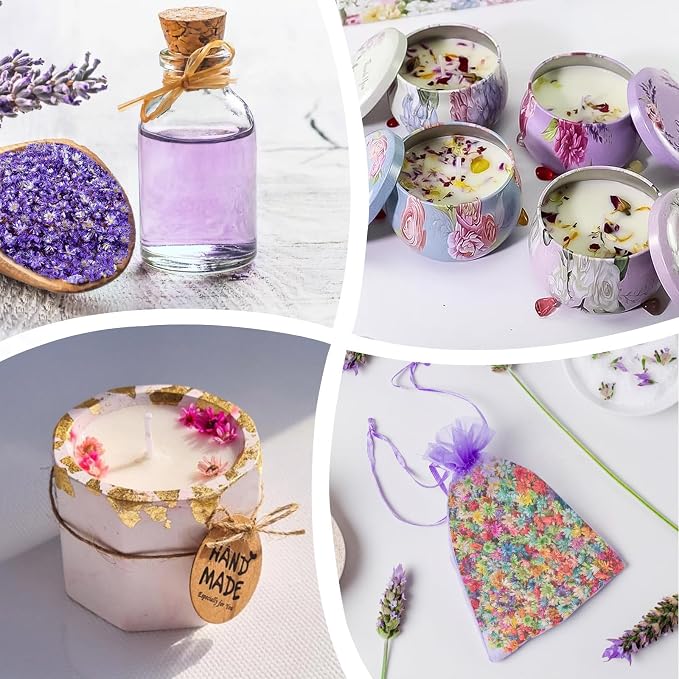 420Pcs Dried Flower for Crafts, Mini Dried Flowers for Resin, Tiny Natural Real Dried Pressed Flowers Bulk for DIY Jewelry Earrings Epoxy Molds, Candles Soap Making