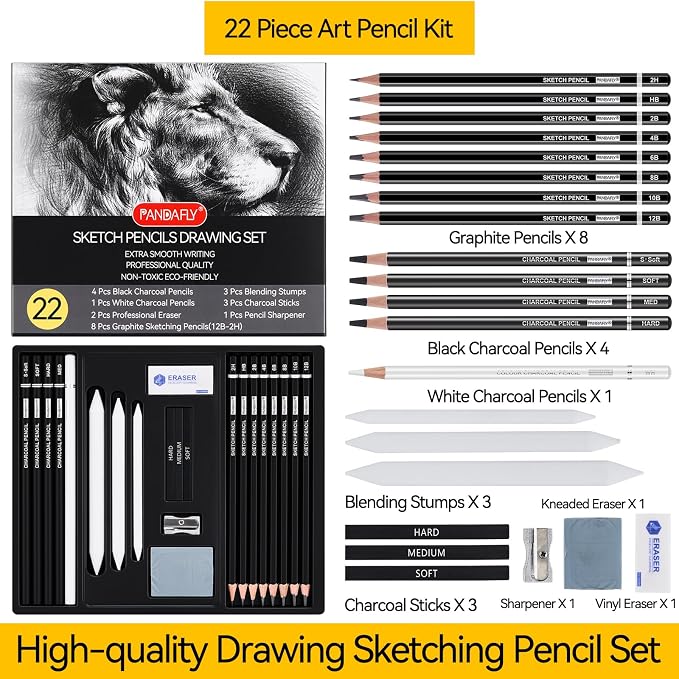 PANDAFLY Drawing Sketching Pencil Set, 22 Piece, Graphite Pencils (12B-2H) | Pro Art Pencil Kit with Black and White Charcoal Pencils, Charcoal Sticks, Stumps, Eraser, Sharpeners, Sketch Set for Artists