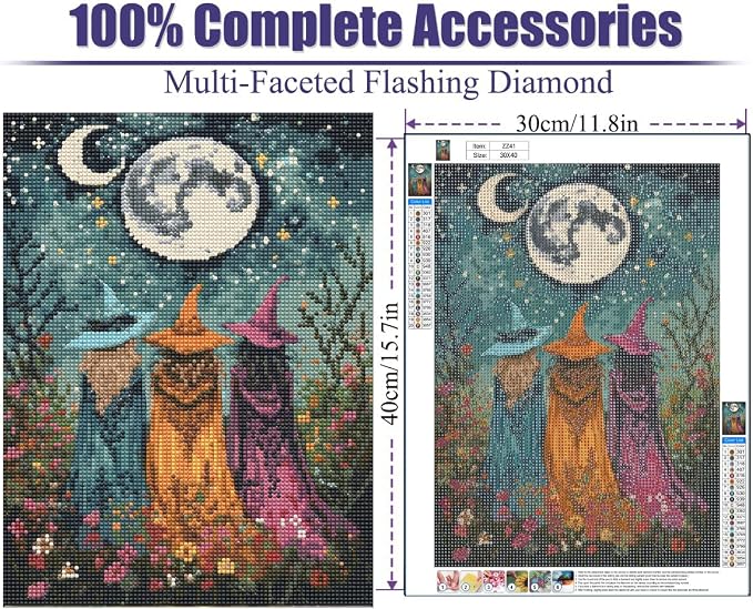 GQYCZZ Beautiful Witch Diamond Art Painting for Adults Beginners, Floral Witch DIY 5D Diamond Painting Kits Full Drill Diamond Dots Paintings with Diamonds Gem Art and Crafts Home Decor 12x16inch