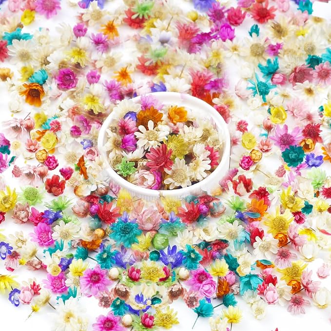 710 PCS Mini Dried Flowers for Resin, Small Dried Flowers for Crafts, Mini-Dried Flower Bulk for Resin Art, Jewelry, Candle Making, Soap Making and DIY Crafts